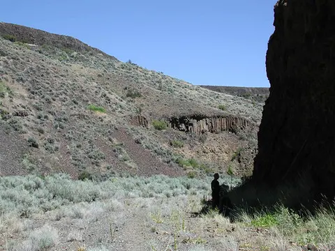 A person stands in a rocky, arid canyon with sparse vegetation and basalt cliffs.