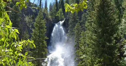 A waterfall flows through a dense forest with tall pine trees and rocky cliffs.