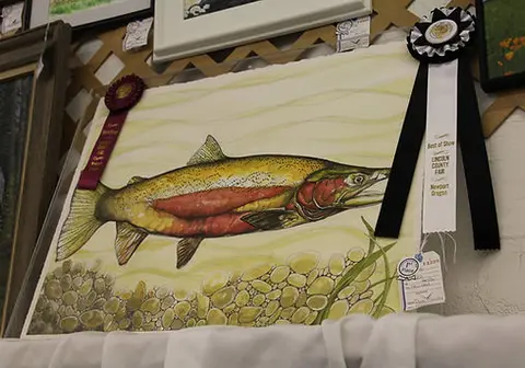 A watercolor painting of a fish is displayed with prize ribbons.