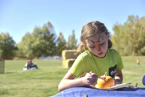 A young girl with face paint paints a small pumpkin outdoors.