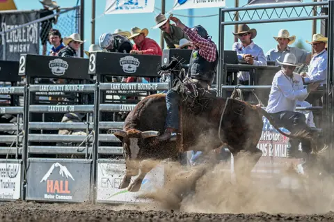 A cowboy rides a bucking bull at a rodeo while dust kicks up from the ground.