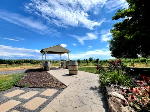 A stone pathway leads past barrels and a covered gazebo in a vineyard under a bright blue sky.