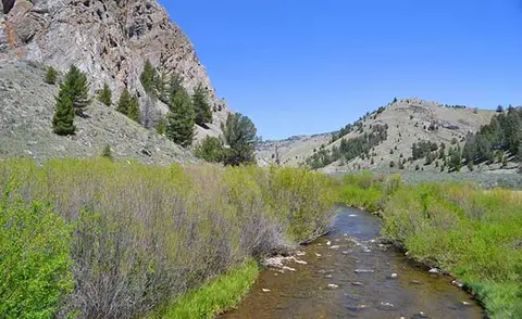 A river flows through a valley between rocky hills and trees under a clear blue sky.