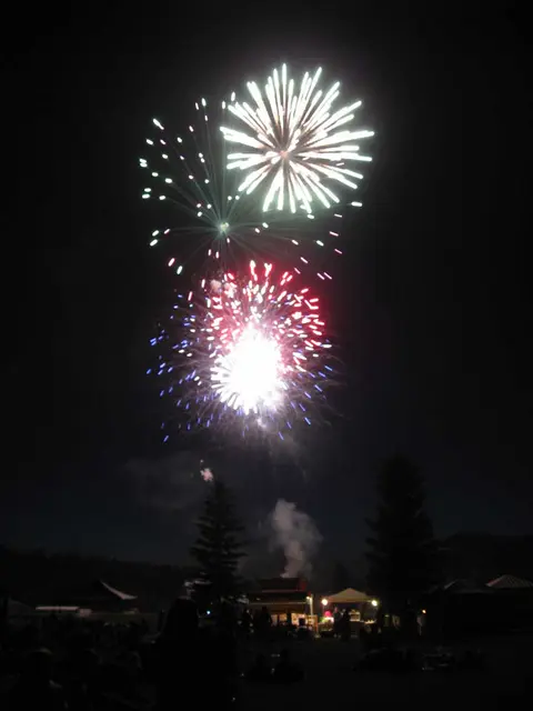 Fireworks bursting in the night sky over silhouetted trees and buildings.