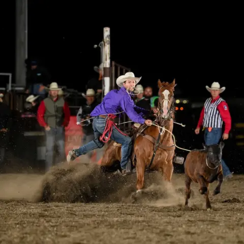 A cowboy ropes a calf from horseback in an arena.