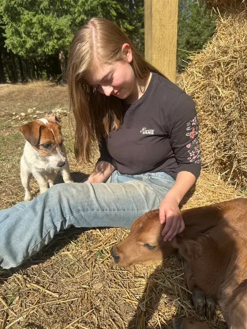 A young woman sitting in hay petting a calf with a small dog nearby.