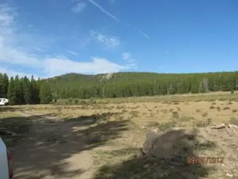 A landscape view showing a field with sparse vegetation, trees in the background, and a blue sky with clouds.
