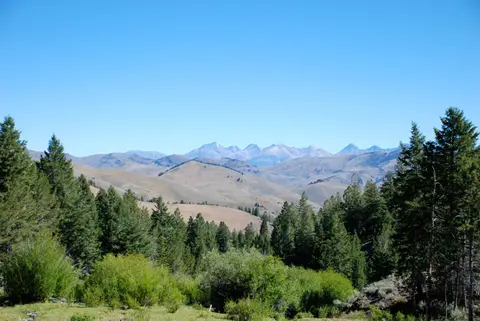 A landscape photograph showing rolling hills and distant mountains framed by evergreen trees under a clear blue sky.