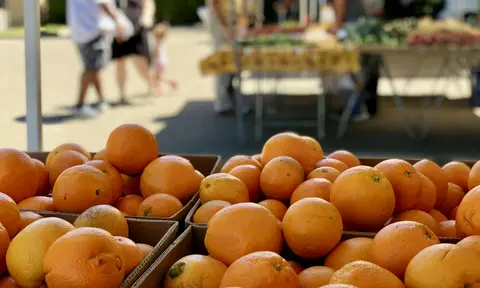Boxes of fresh oranges displayed at an outdoor market with people in the background.