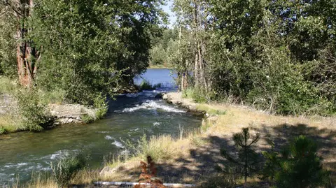 A river flows between trees toward a body of water.