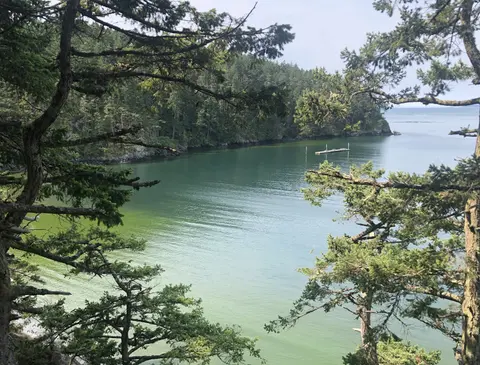 A scenic view of a bay framed by trees.