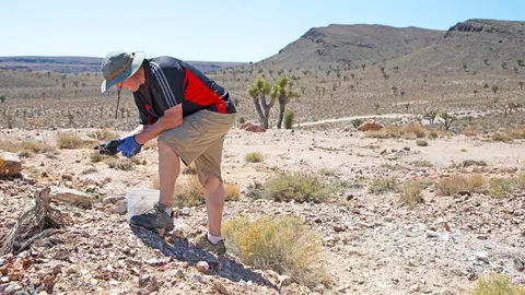 A person looks at rocks in a desert landscape.