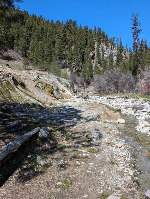 A rocky riverbank with a mineral deposit formation and pine trees against a blue sky.