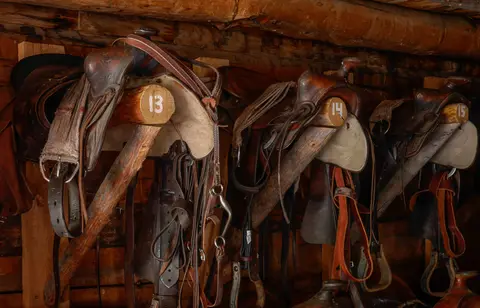 Saddles hanging on wooden racks with numbered pegs inside a rustic stable.