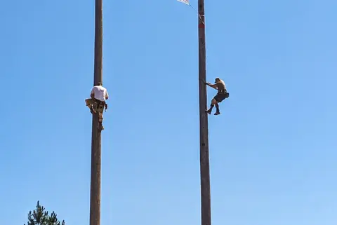 Two men climb tall wooden poles against a clear blue sky.