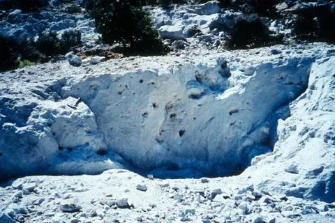 A view of rocky terrain and exposed white stone formations outdoors.