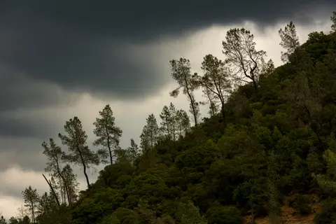 A forested hill under a dark, stormy sky.