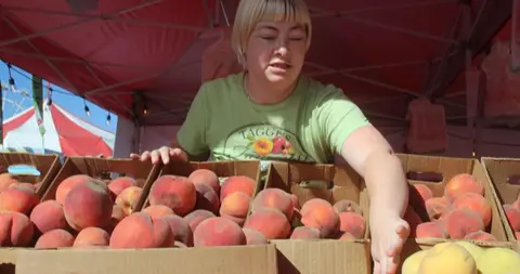 A woman reaches over boxes filled with fresh peaches at a market.