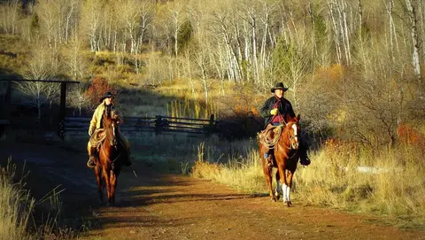 Two people ride horses along a dirt path through a wooded area.