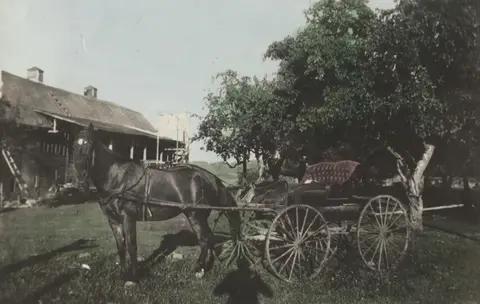 A historic photo showing a horse hitched to a buggy near a barn and trees.