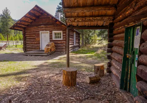 A view of rustic log cabins with wood chips and tree stumps on the ground.