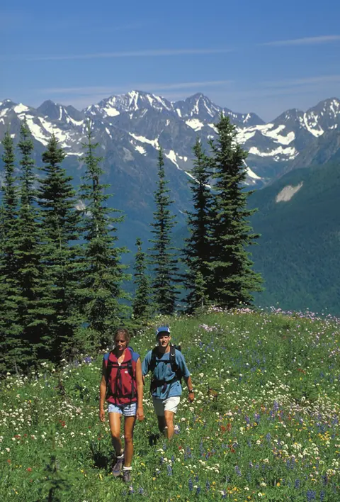 Hikers along the International Selkirk Loop.
