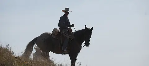 A cowboy rides a horse outdoors against a bright sky.