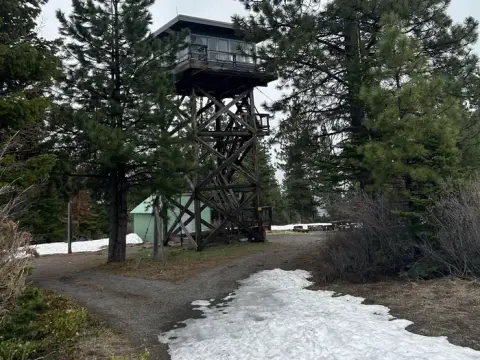 A tall wooden lookout tower stands among pine trees with patches of snow on the ground.