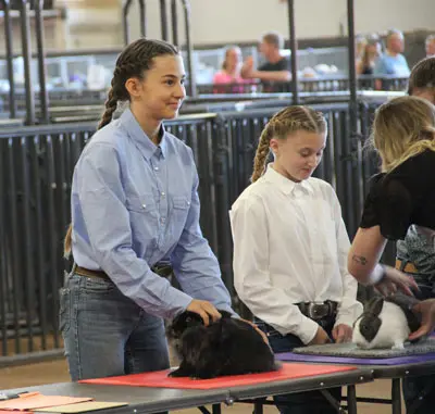 Two young participants show rabbits at a fair.