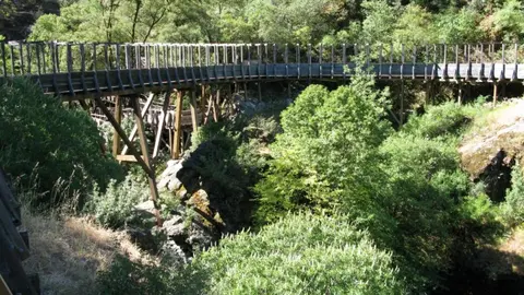 A wooden trestle bridge spans across a lush, tree-filled canyon.