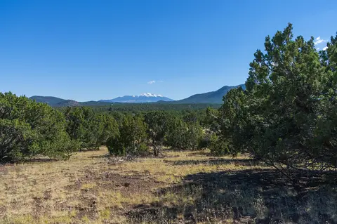 Landscape from Red Mountain Trailhead.