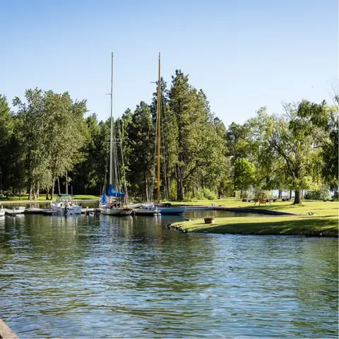 Sailboats moored in a calm harbor surrounded by trees and grassy shores.