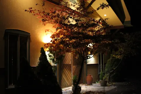 An exterior view of a building at night, illuminated by warm lighting, with trees and foliage in the foreground.