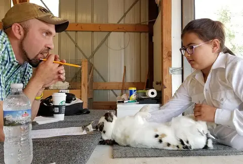 A man and a girl examine a rabbit on a table.