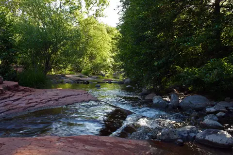 A small river flowing through a lush green forest with rocks along the banks.