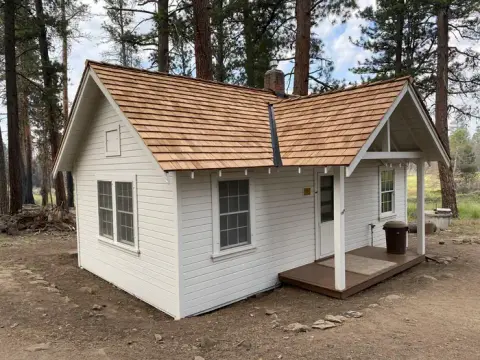 A small white cabin with a wooden roof sits among pine trees.