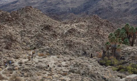 A landscape view showing rocky hills and palm trees with hikers and cyclists on a trail.