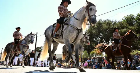 People ride horses in a parade.