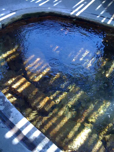 Enclosed spring at Hooper Springs Park.