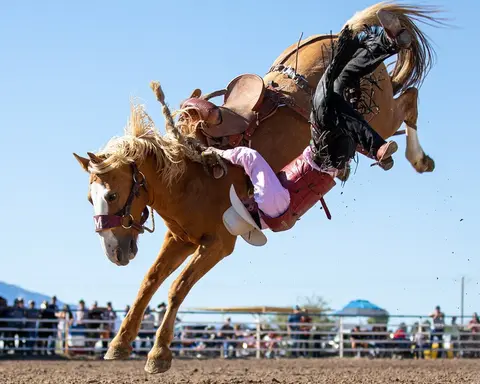 A bucking horse throws a rider during a rodeo event.