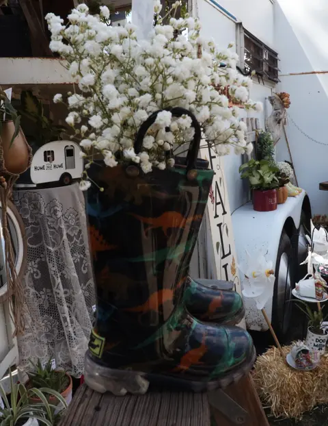 A pair of dinosaur-patterned rain boots holds white flowers in an outdoor display.