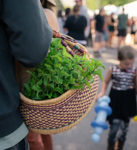 A person holds a woven basket filled with fresh green mint leaves at an outdoor market.