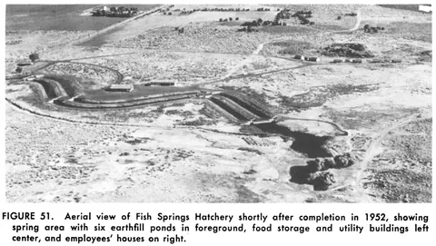 An aerial view of Fish Springs Hatchery shortly after completion in 1952.