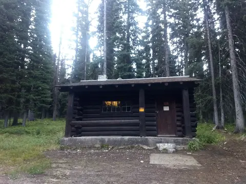 A dark wooden cabin sits among tall pine trees in a forest.