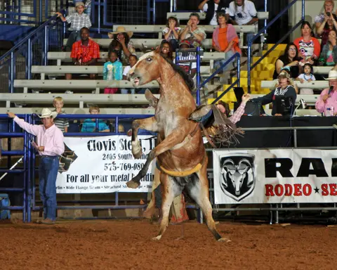 Bronc riding contest, Pioneer Days rodeo.