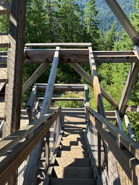 Looking down a wooden staircase of an outdoor tower surrounded by trees.