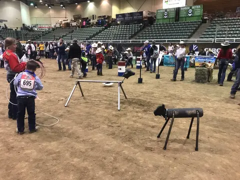 People practice roping on metal calf dummies in an indoor arena.