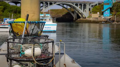 Crabbing traps and gear sit on a dock with a bridge and water in the background.