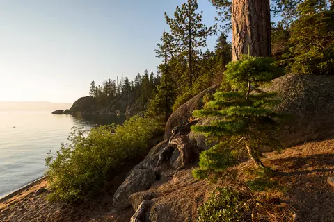 A scenic landscape showing a forested rocky shoreline beside a calm body of water.