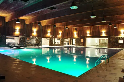 An indoor swimming pool featuring wooden walls and a high beamed ceiling.